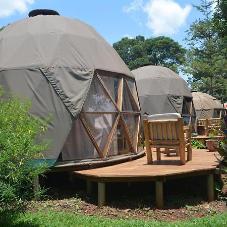 Jinja Backpackers Pansiyon Dış mekan fotoğraf
