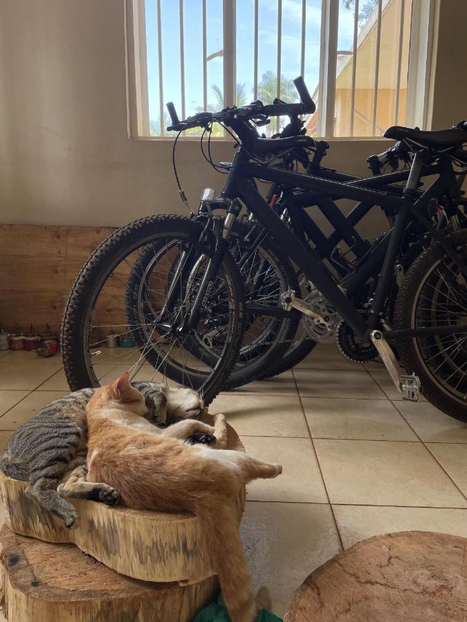 Jinja Backpackers Pansiyon Dış mekan fotoğraf