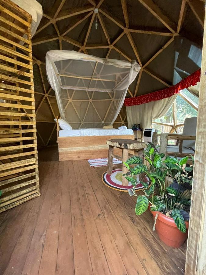 Jinja Backpackers Pansiyon Dış mekan fotoğraf
