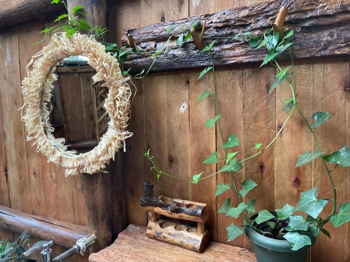 Jinja Backpackers Pansiyon Dış mekan fotoğraf