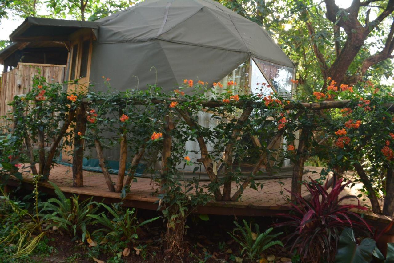 Jinja Backpackers Pansiyon Dış mekan fotoğraf
